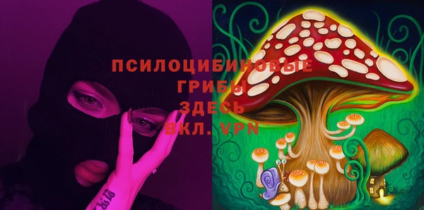 прущие крисы Абаза