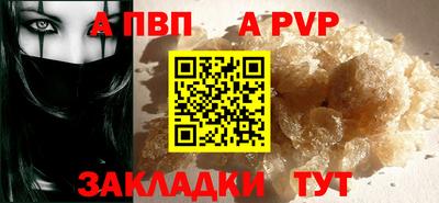 ECSTASY Гай