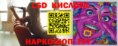 ECSTASY Гатчина