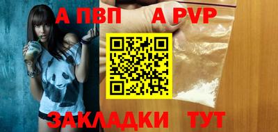 ECSTASY Гай
