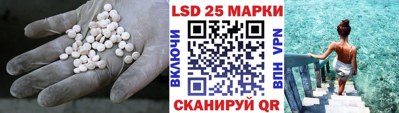купить наркотики цена  Курчатов  гидра сайт  ЛСД экстази ecstasy 