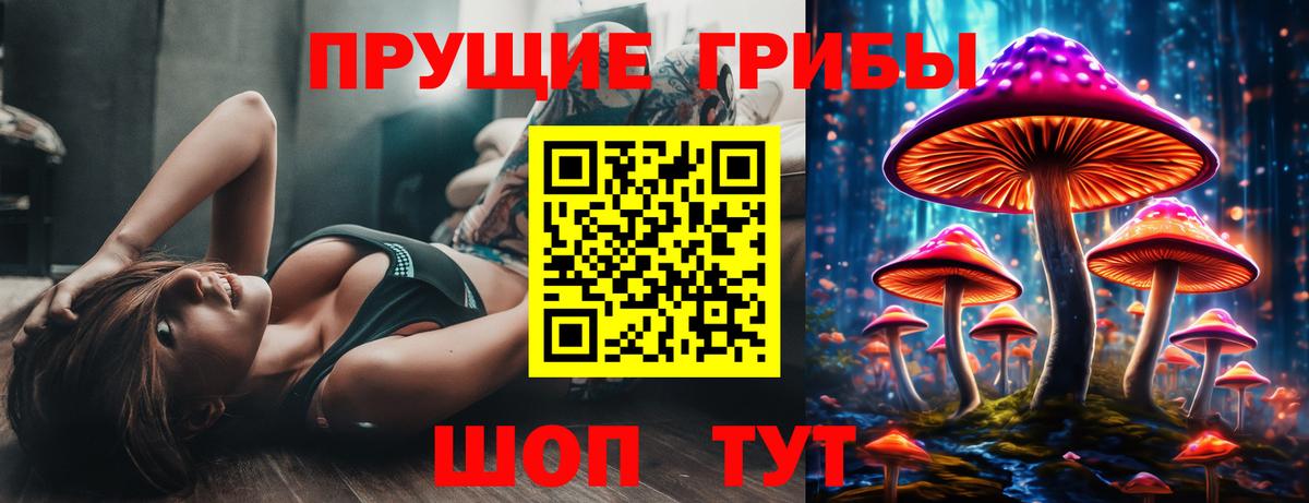 Псилоцибиновые грибы мухоморы  где купить наркоту  Курчатов  Вход с VPN 