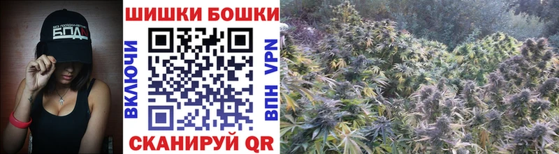 omg рабочий сайт  Курчатов  Бошки марихуана сатива 